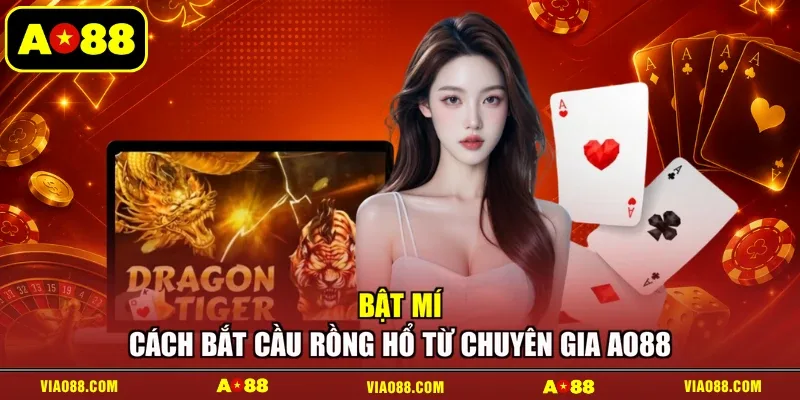Bật mí cách bắt cầu Rồng Hổ từ chuyên gia AO88