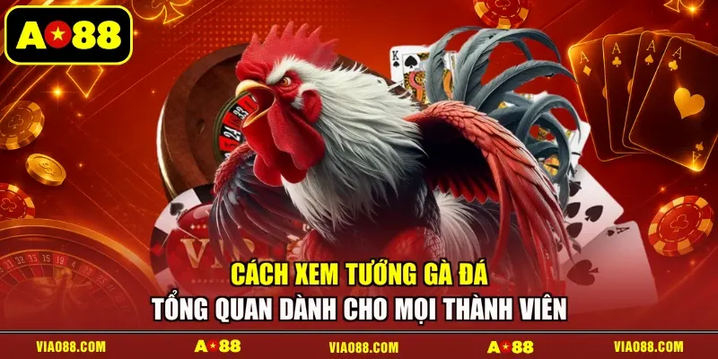 Cách xem tướng gà đá tổng quan dành cho mọi thành viên