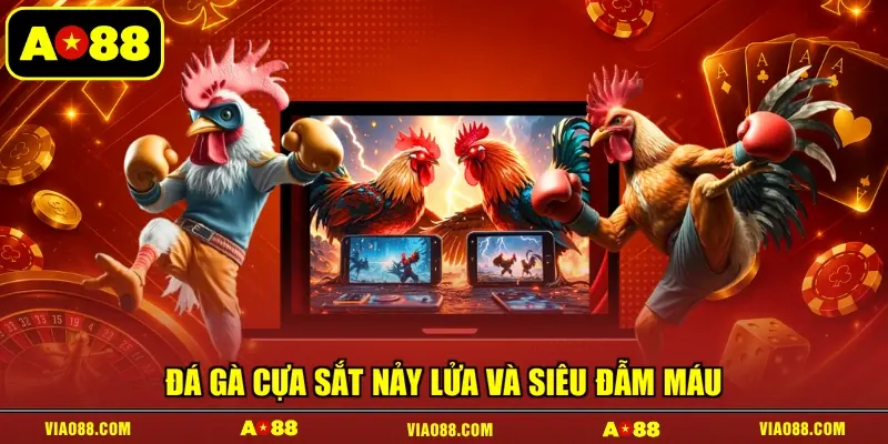 Đá gà cựa sắt nảy lửa và siêu đẫm máu 