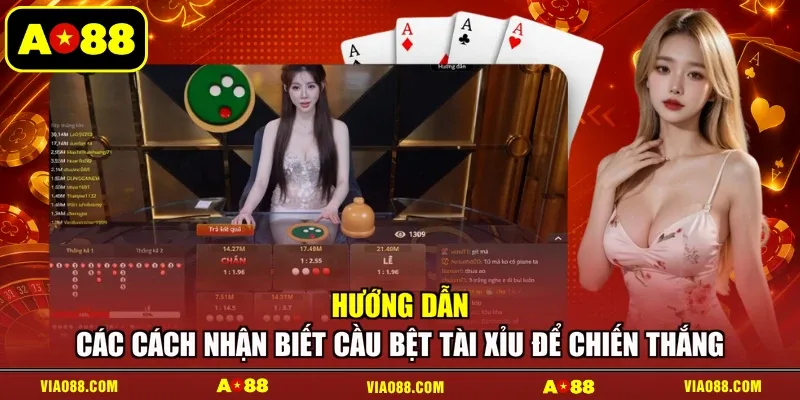 Hướng dẫn các cách nhận biết cầu bệt tài xỉu để chiến thắng