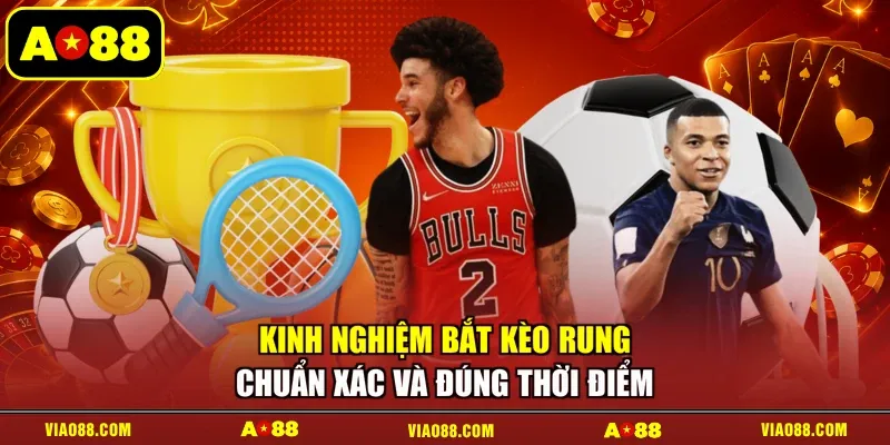Kinh Nghiệm Bắt Kèo Rung Chuẩn Xác Và Đúng Thời Điểm