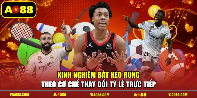 Kinh nghiệm bắt kèo rung theo cơ chế thay đổi tỷ lệ trực tiếp