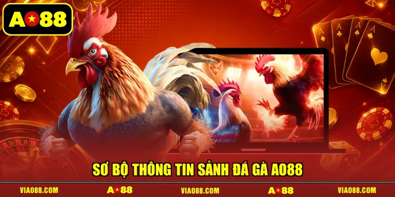 Sơ bộ thông tin sảnh đá gà AO88