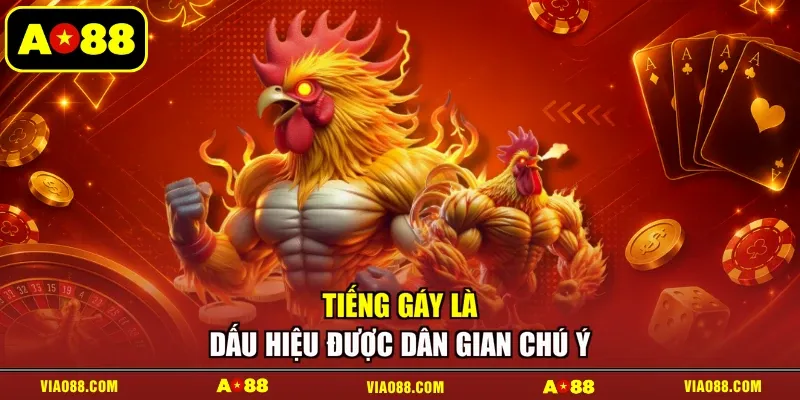 Tiếng gáy là dấu hiệu được dân gian chú ý